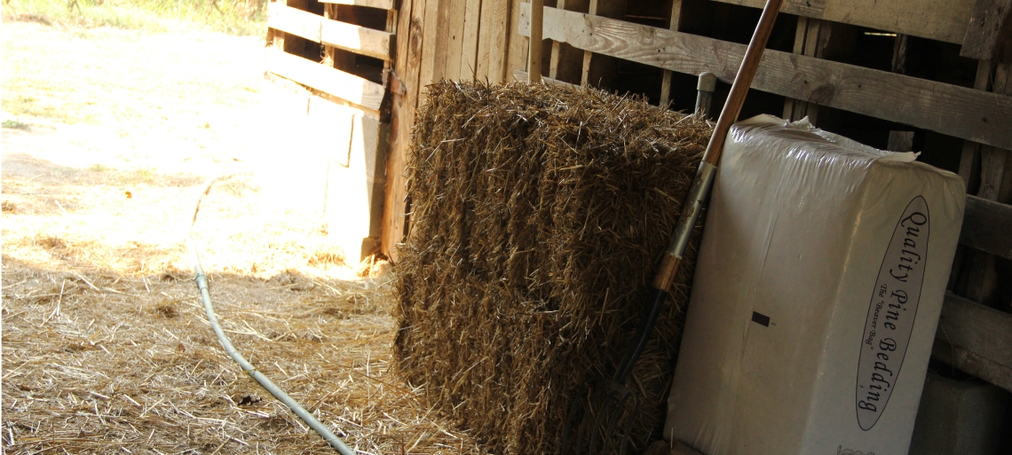 Slideshow Banner 4